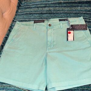 NWT Vineyard Vines Men’s Mint Green Bermuda Shorts Size 36